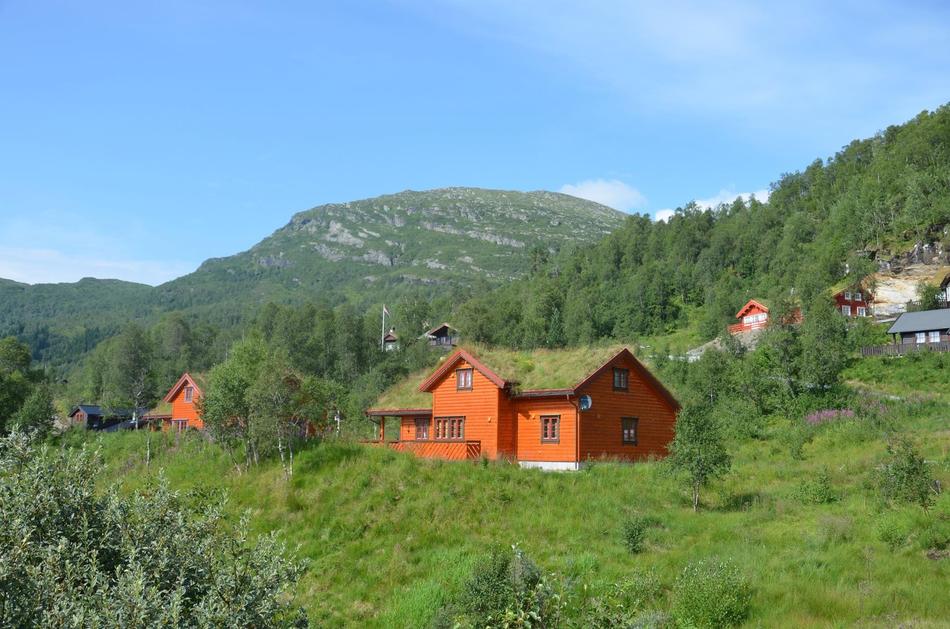 House Nature Outdoors