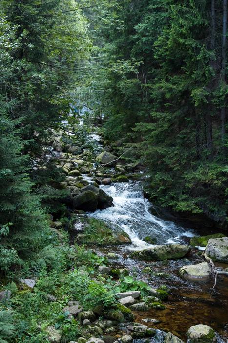 Nature River Waterfall
