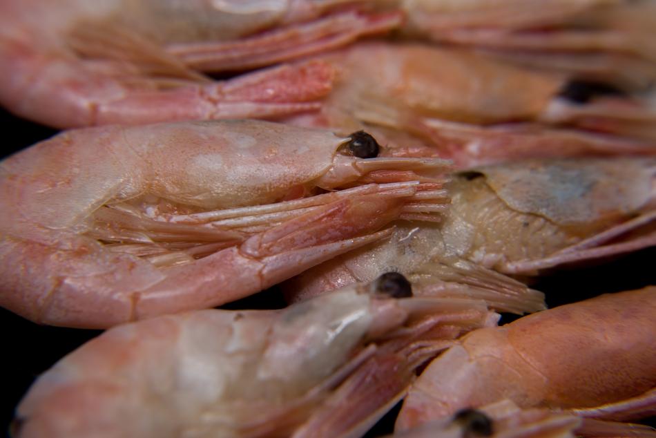 raw healthy shrimp