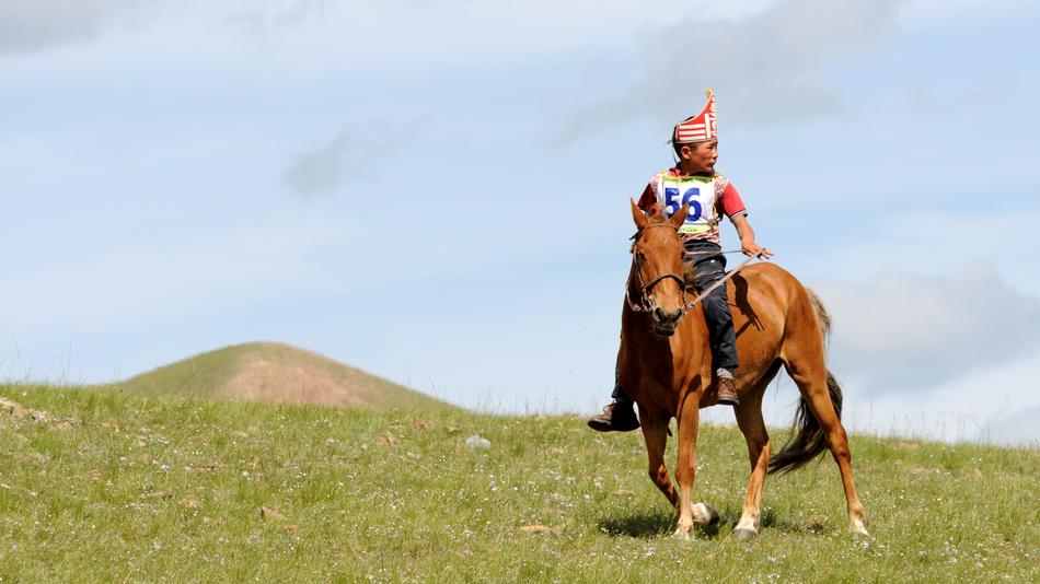 Mongolia Reiter Competition
