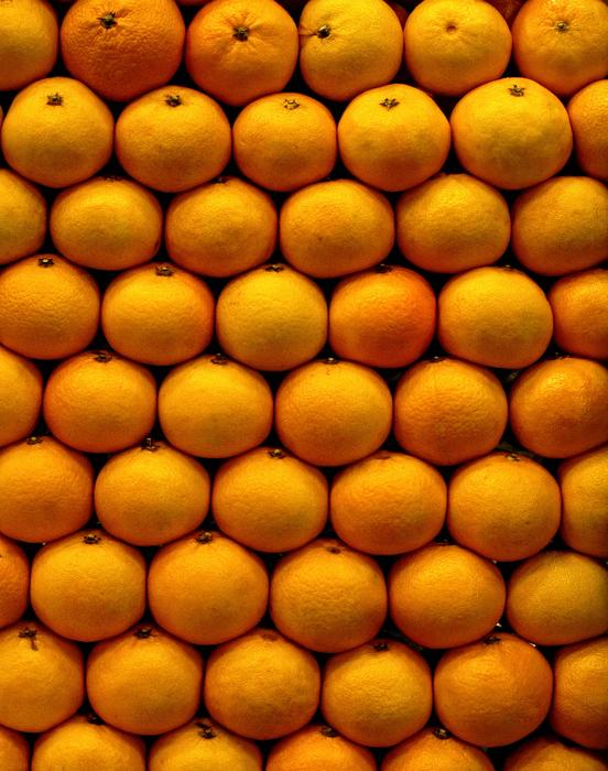 Fruit Oranges Autumn