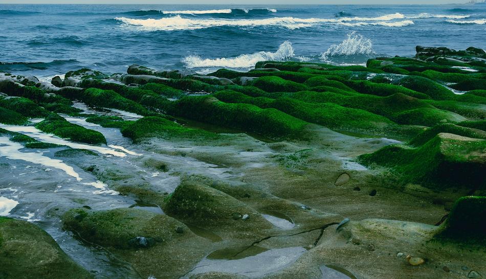 Water Nature Sea