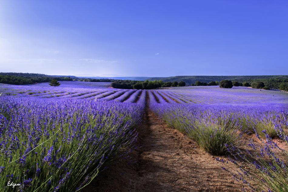Nature Landscape Open Air