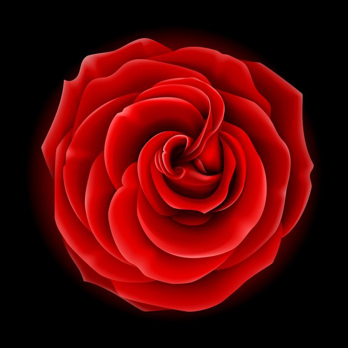 increase red flower natural