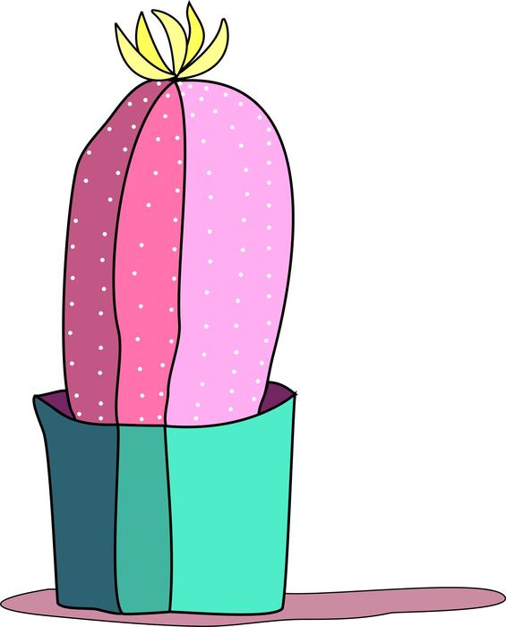 cactus pink cactus