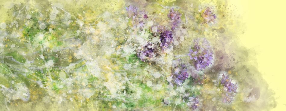 flowers purple wood plank fresh