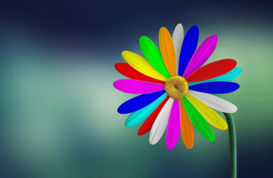 Nature Summer Flower