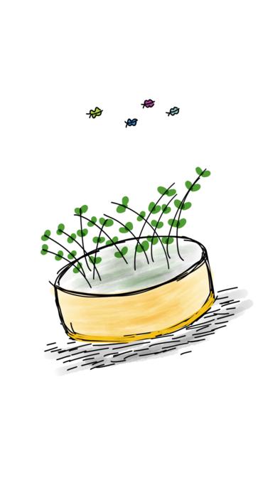 children drawing of a pot with flowers