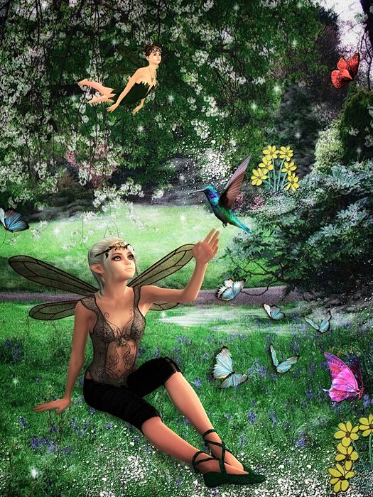 fairy beautiful butterflies trees