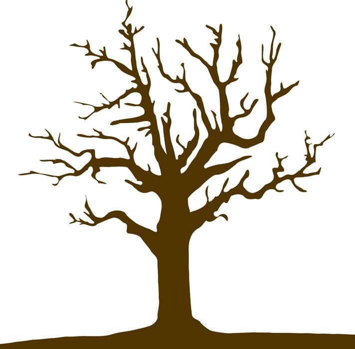 tree logo nature design symbol