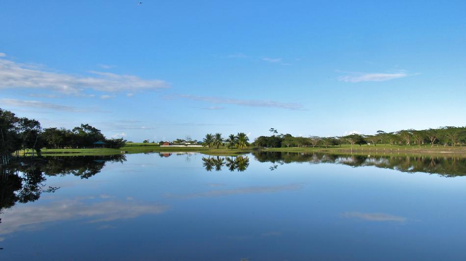 Water Nature Reflection