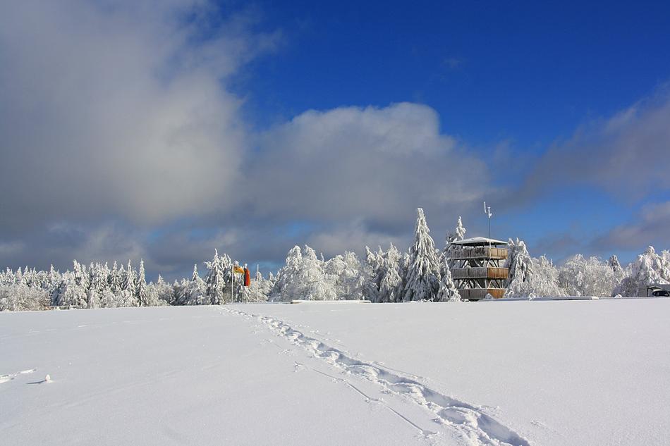 Snow Winter Cold