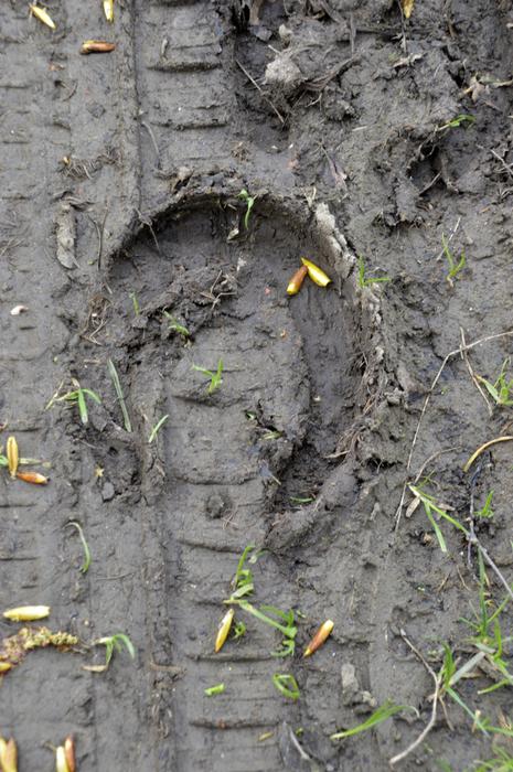 Nature Earth Dirty