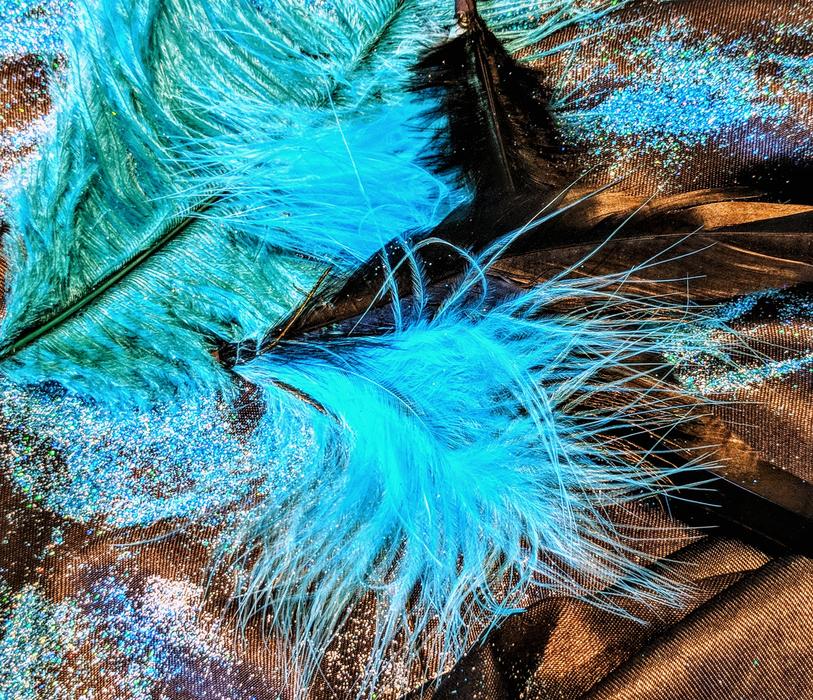 Feather Nature Color
