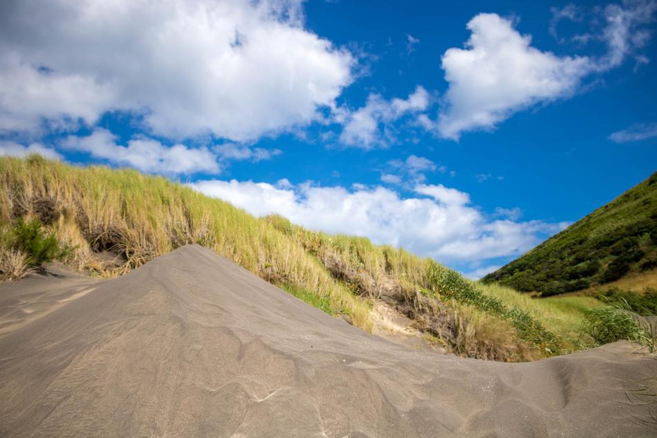 Nature Landscape Dunes Porto