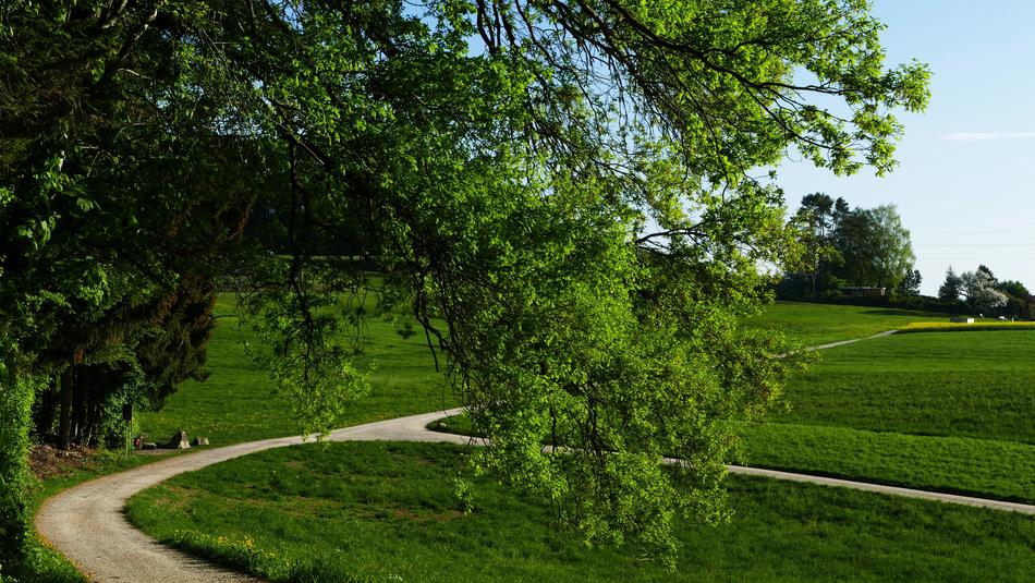 Landscape Nature Reported