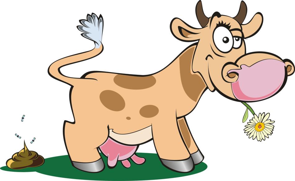 a cow on a farm eating grass