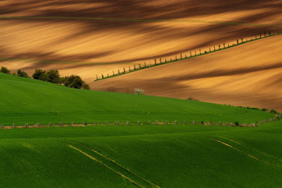 Landscape Spring