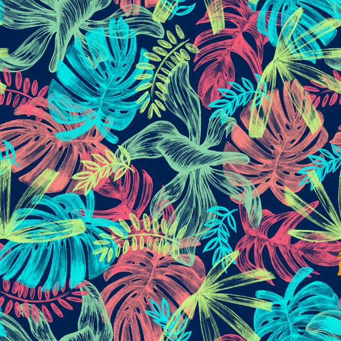 leaves tropical picture plant