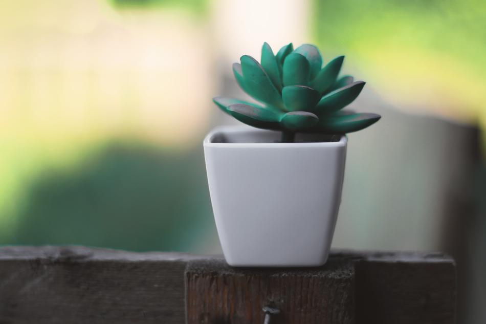 Plant Plastic Desk