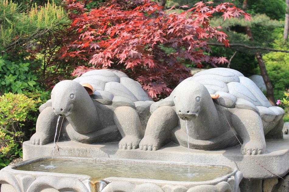 brick turtles fountain landscape