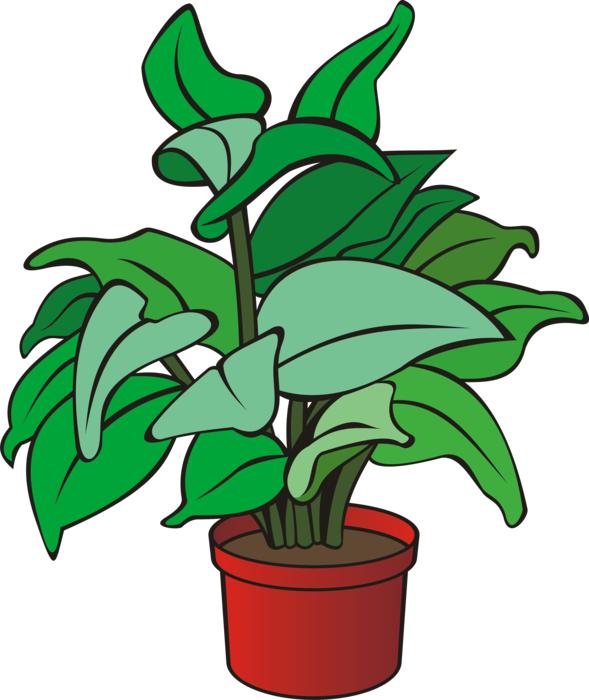 green foliage in a red pot