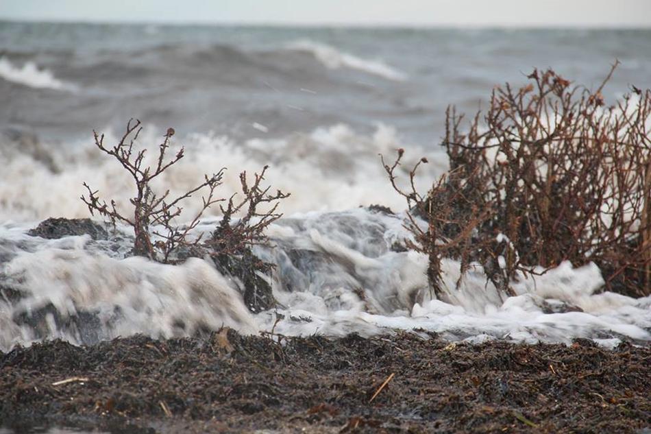 Natural Storm Surge Landscape