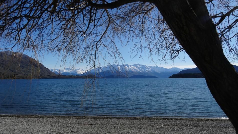 Lake New Zealand Nature