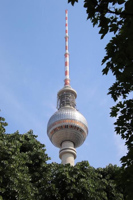 TV tower among the trees landscape
