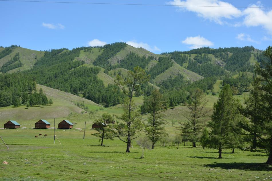 Nature Summer