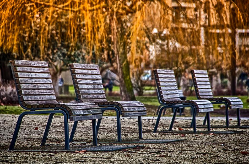 a cozy place in the park