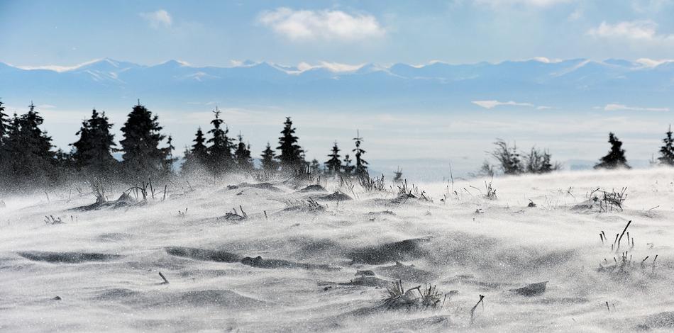 Nature Winter Snow
