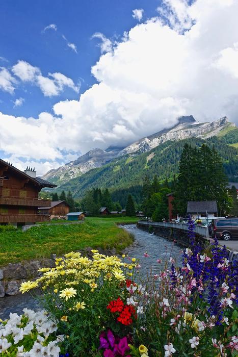 Flowers Nature Alps