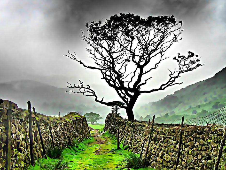 landscape sky nature tree cloud