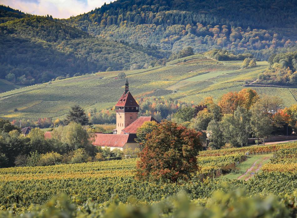 Agriculture Landscape Nature