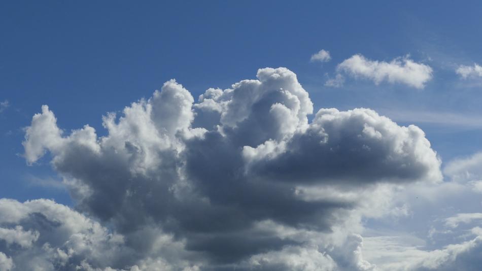 Nature Fluffy Weather