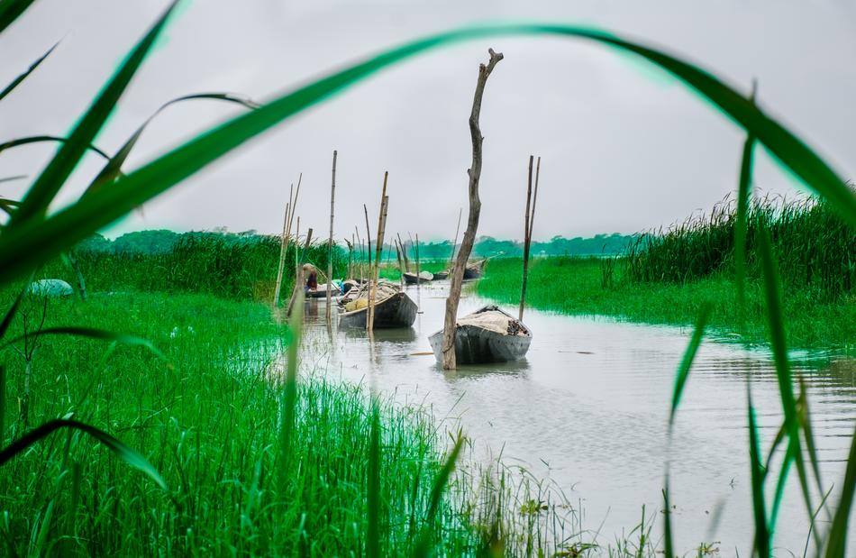 Landscape Water River