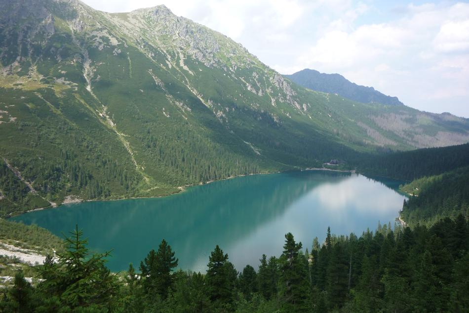 lake forest mountain green