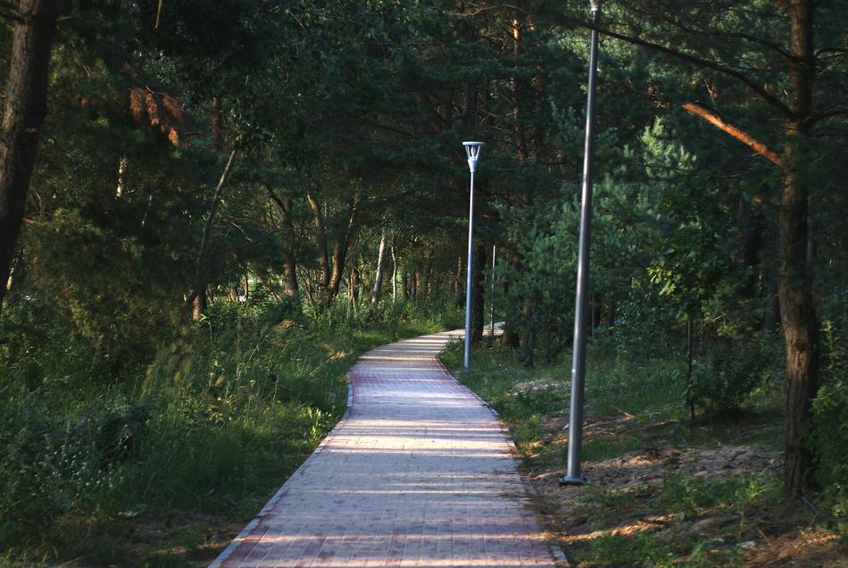 Walkway Landscape City