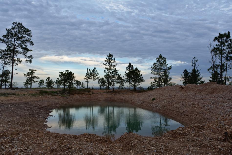 Water Nature Outdoors
