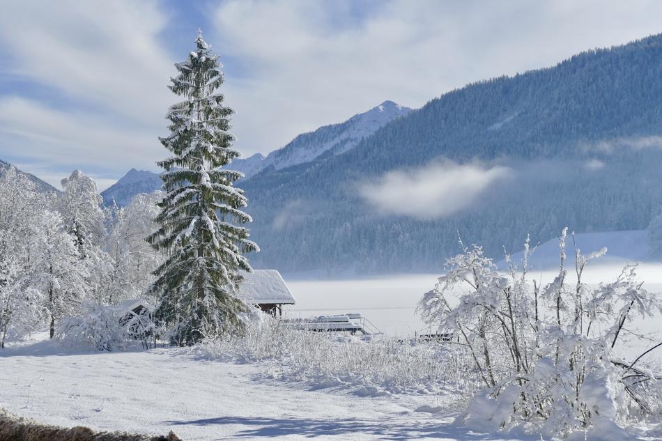 Snow Winter Cold