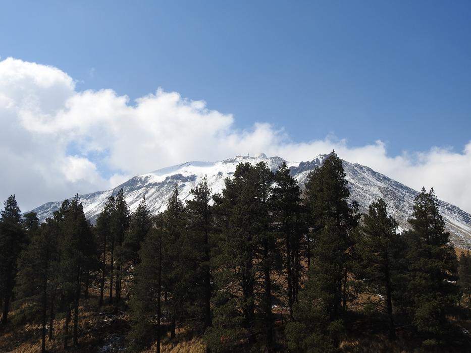 Mountain Trees Pine