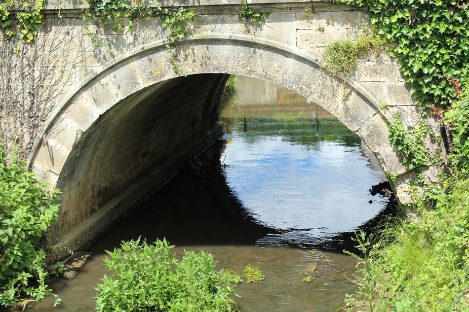 Bridge River Nature