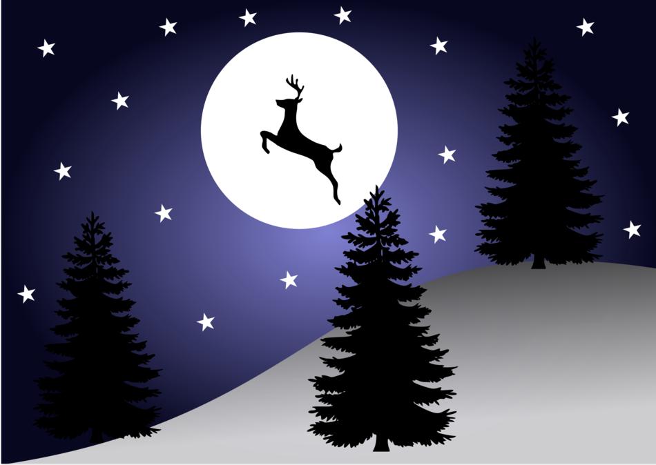 reindeer flight holidays