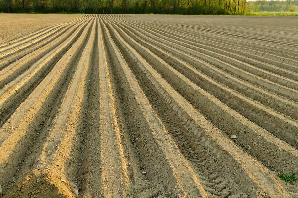 Ground Treatment Field