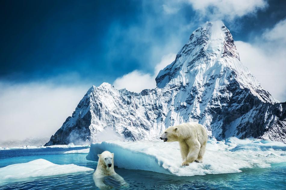 Mountain Polar Bear Glass
