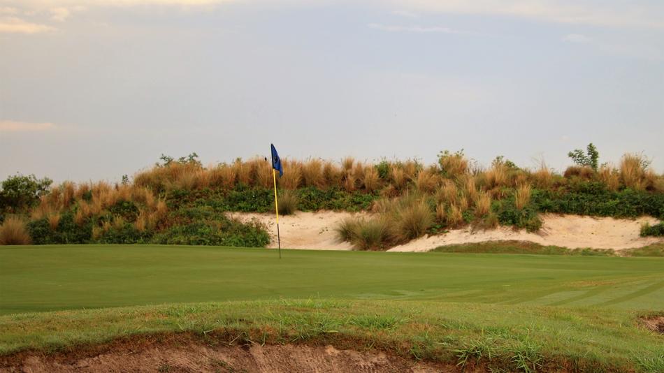 Golf Grass Panoramic