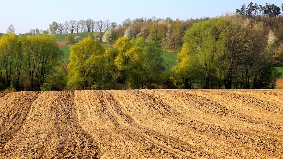 Nature Landscape Field