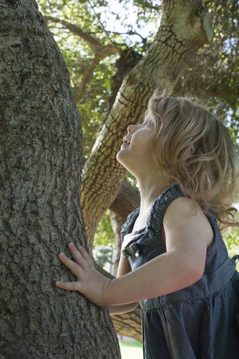 Cute, blonde toddler girl among the trees in the summer