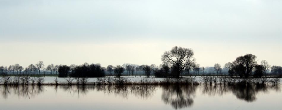 Waters Nature Reflection